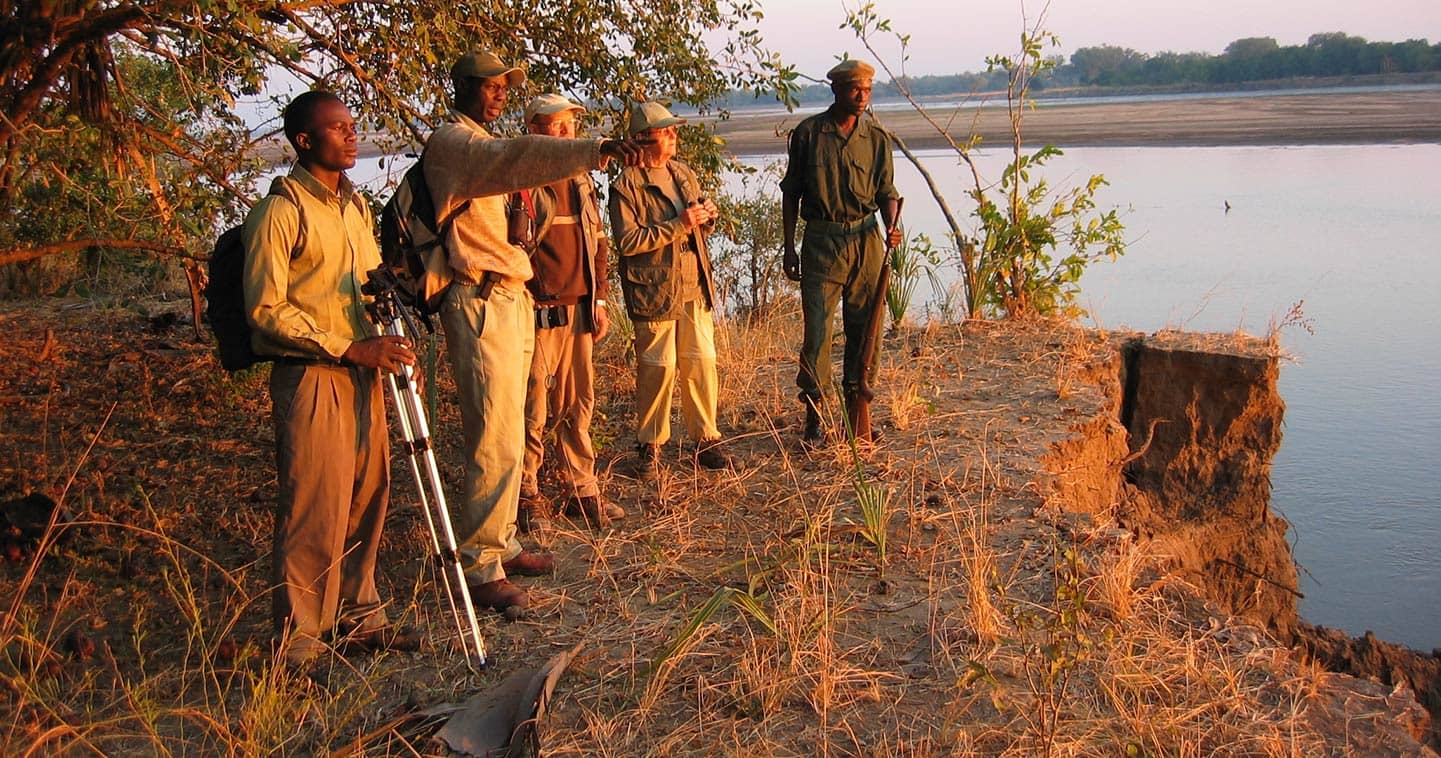 Explore the South Luangwa National Park on a Game Walk when Staying at Island Bush Camp