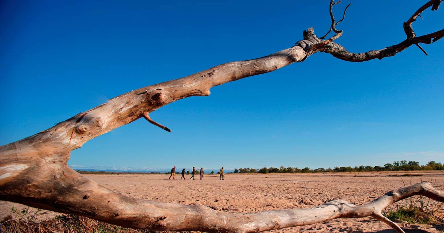When to visit South Luangwa National Park