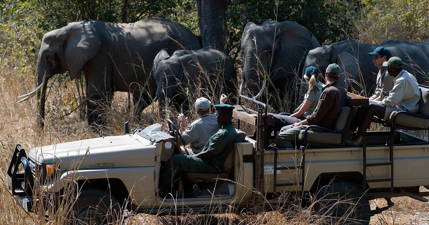 Game drive safari in Zambia with Nkwali Camp