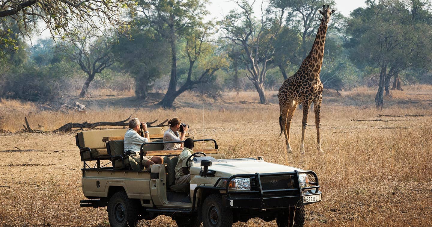 On safari game drive at Robins House