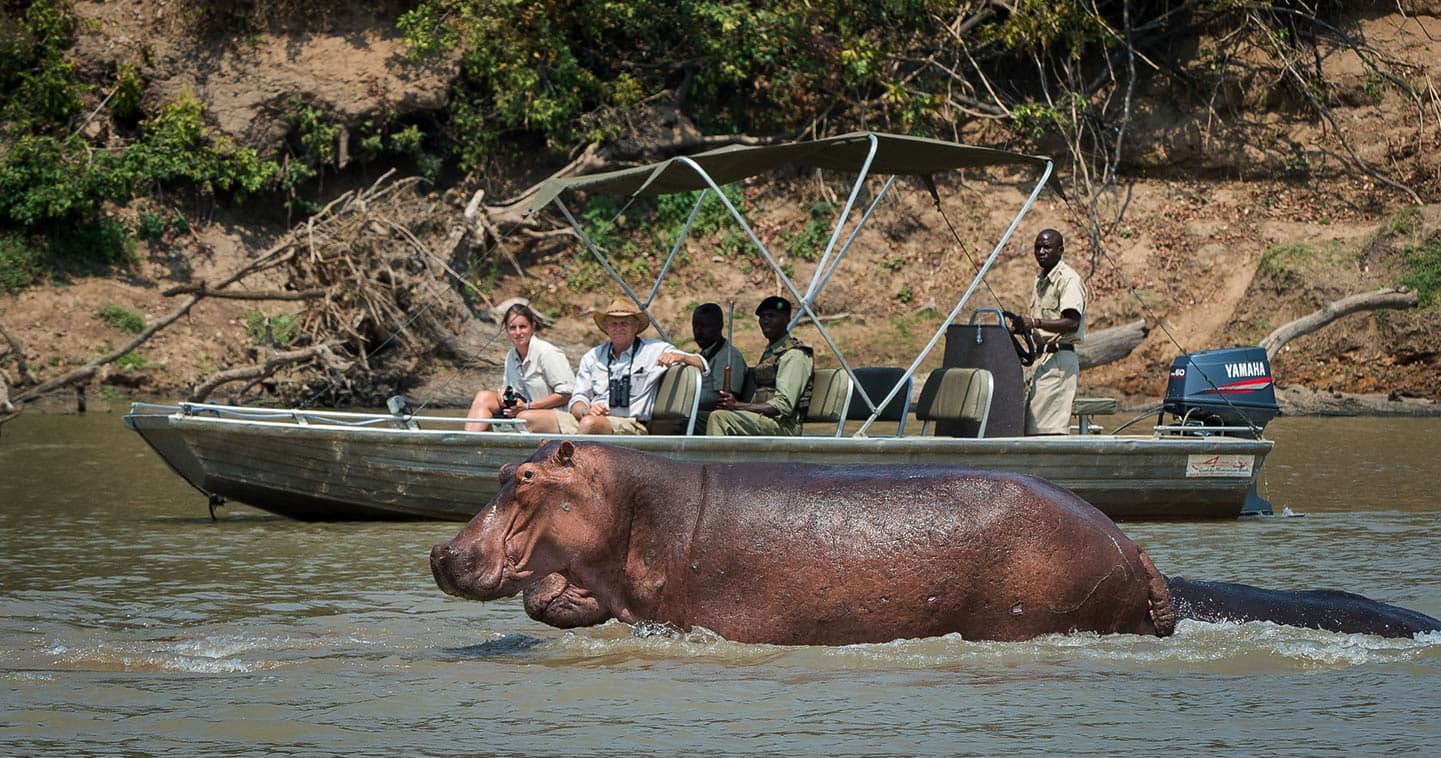South Luangwa safari at Nsefu Camp