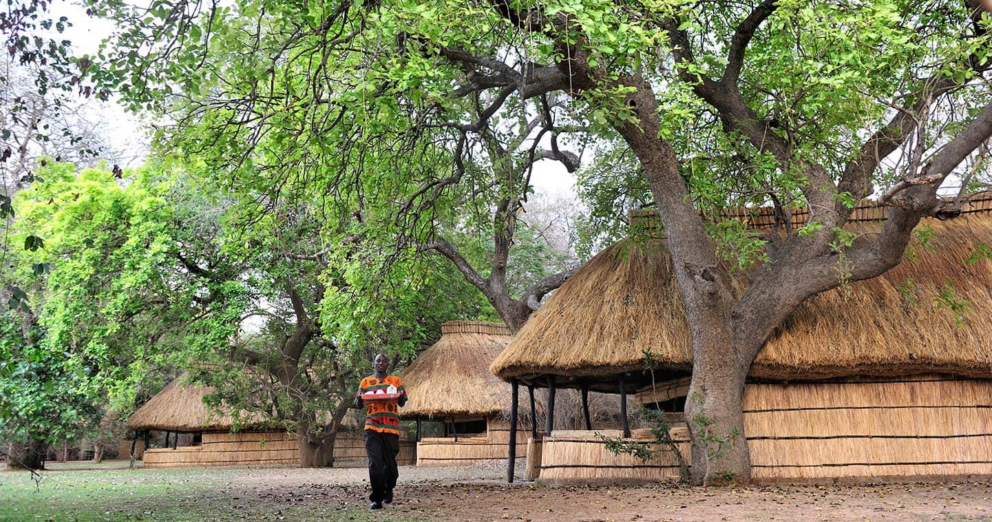 Tafika Camp - Zambia safari