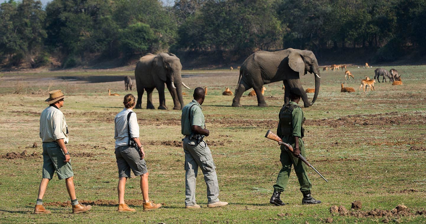 Walking safari in Zambia at Tena Tena Camp